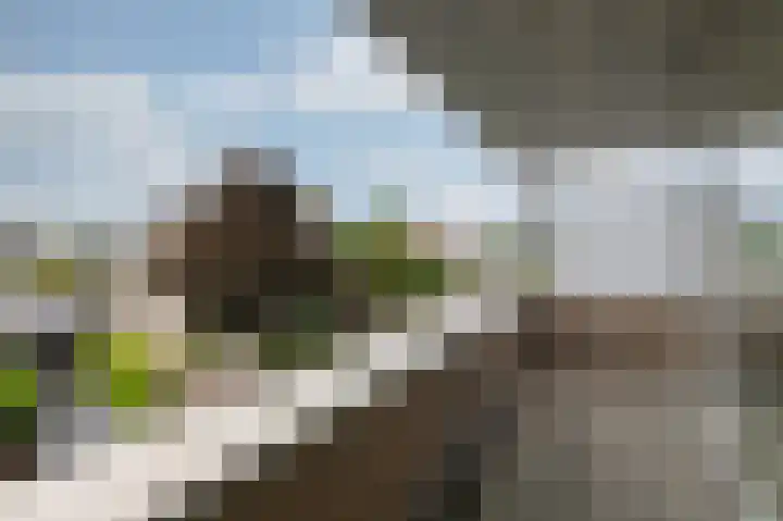 Moeshofweg 29 e Velp thumbnail 9