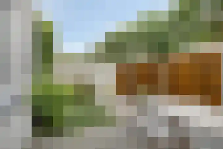 Moeskroenstraat 24 Breda thumbnail 19