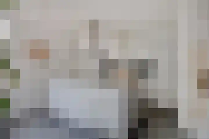 Moeskroenstraat 24 Breda thumbnail 5