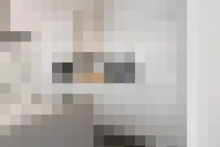 Moeskroenstraat 24 Breda thumbnail 6