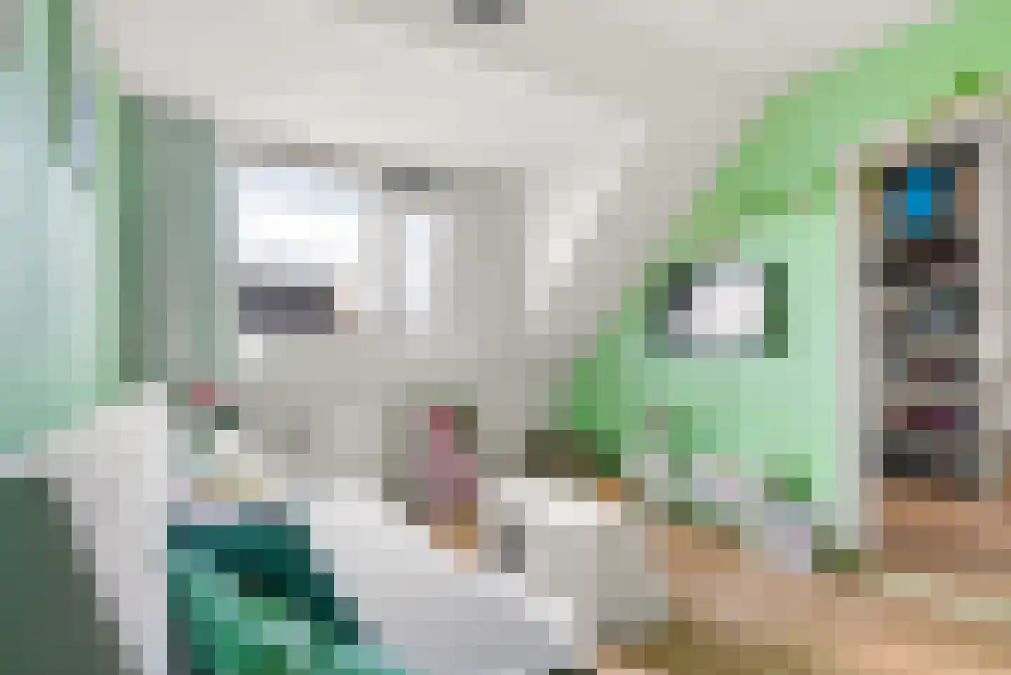 Moesson 17 Zeewolde thumbnail 31