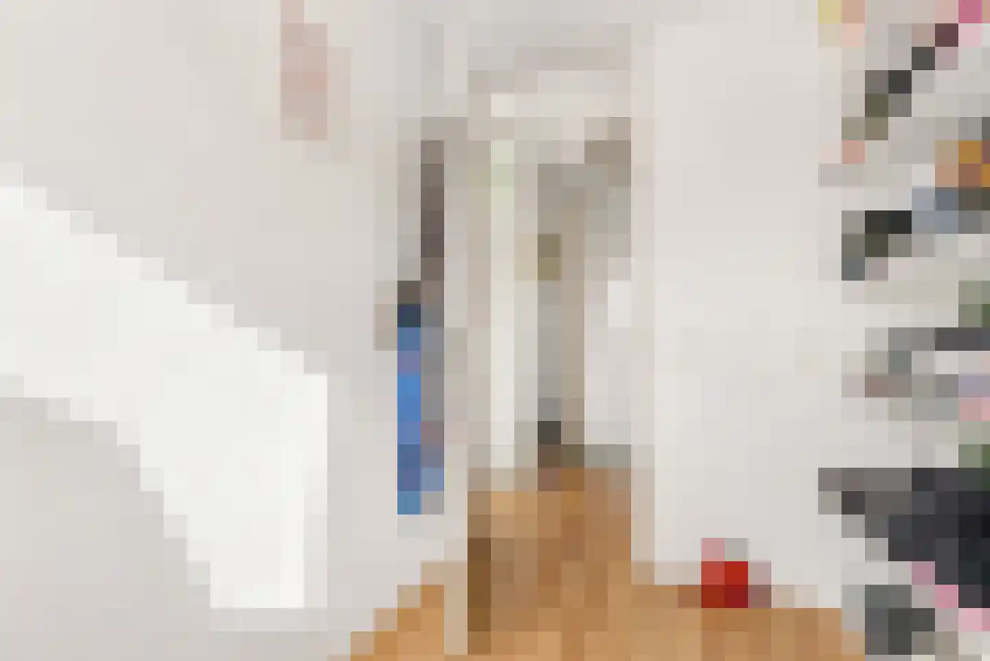 Moesson 17 Zeewolde thumbnail 33