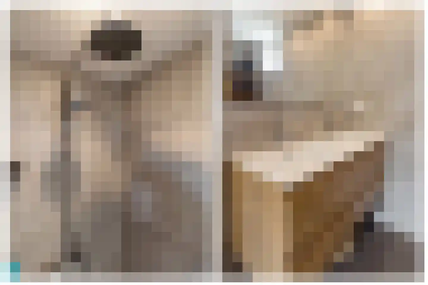 Moesson 17 Zeewolde thumbnail 39