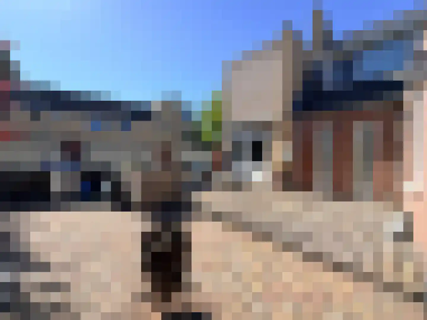 Moesson 17 Zeewolde thumbnail 45