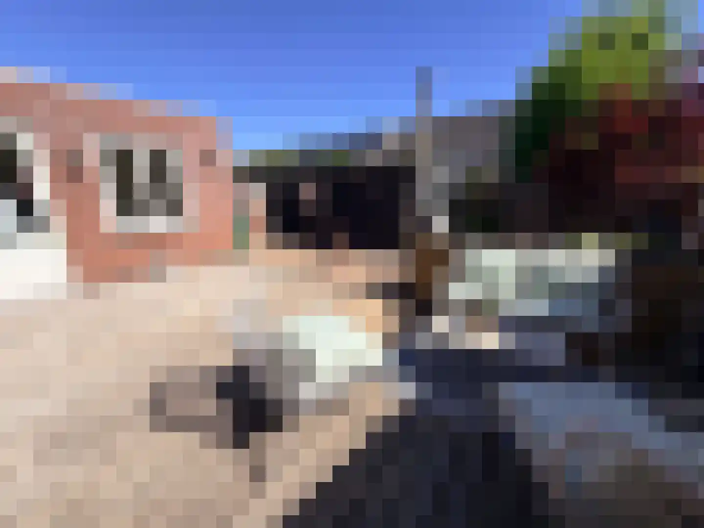 Moesson 17 Zeewolde thumbnail 46