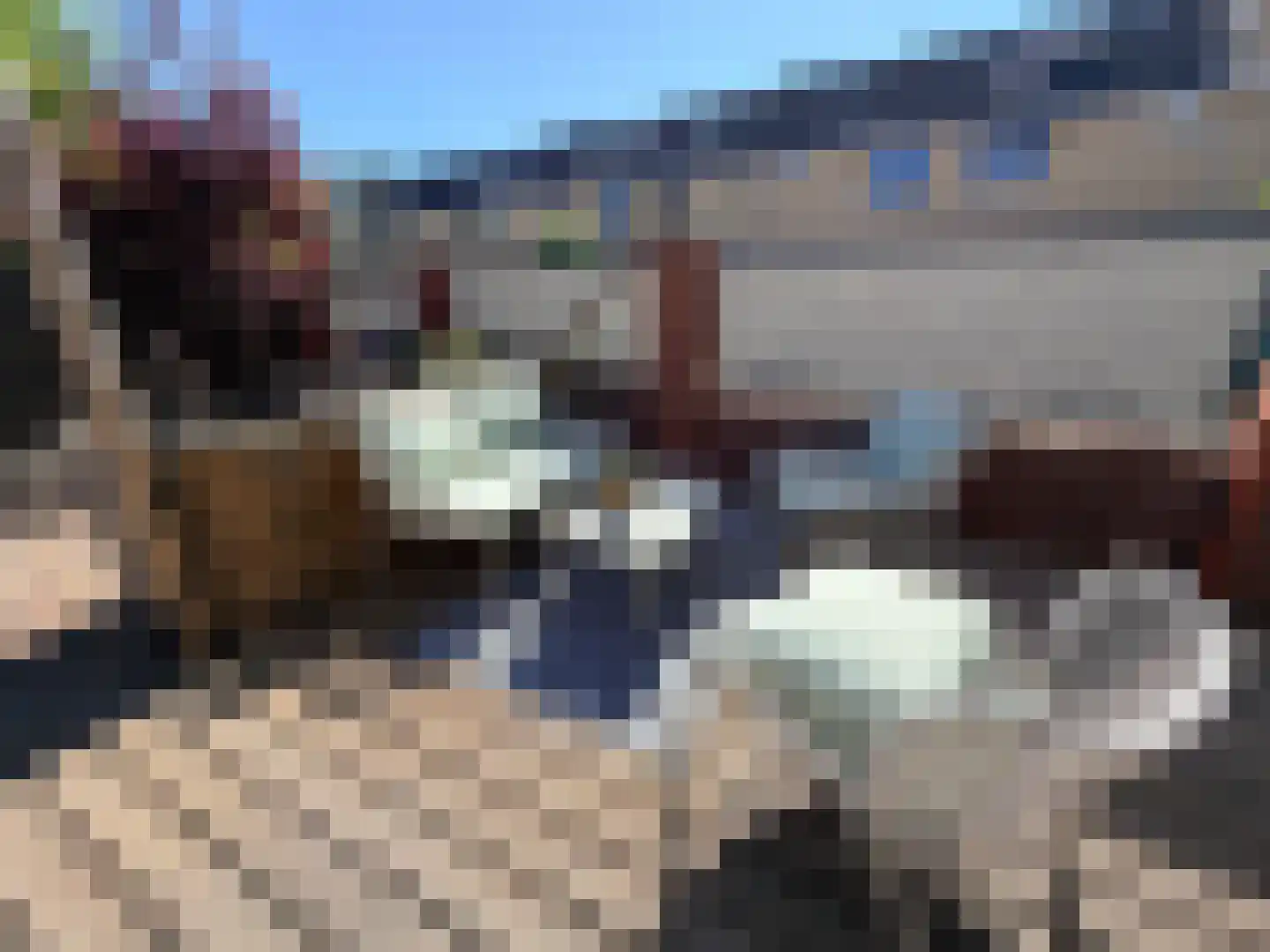 Moesson 17 Zeewolde thumbnail 47