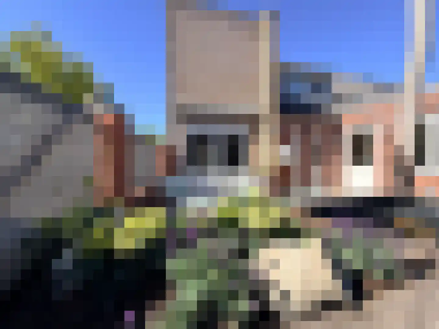 Moesson 17 Zeewolde thumbnail 52