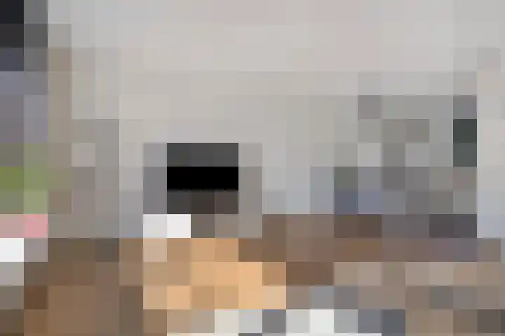 Moesson 5 Zeewolde thumbnail 11