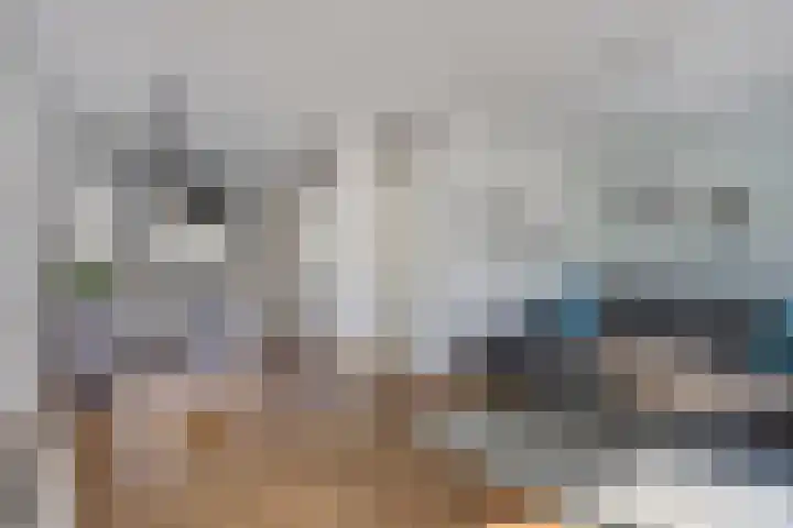 Moesson 5 Zeewolde thumbnail 12