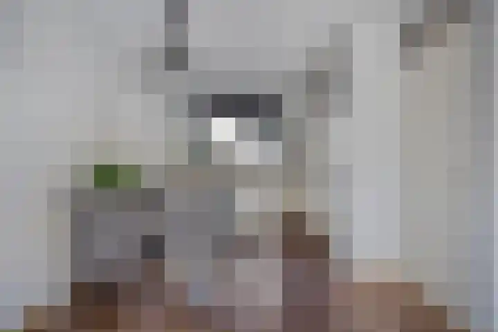Moesson 5 Zeewolde thumbnail 13