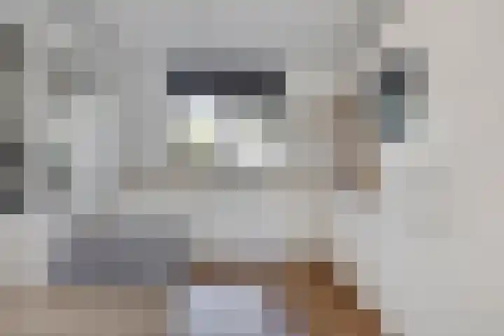Moesson 5 Zeewolde thumbnail 14