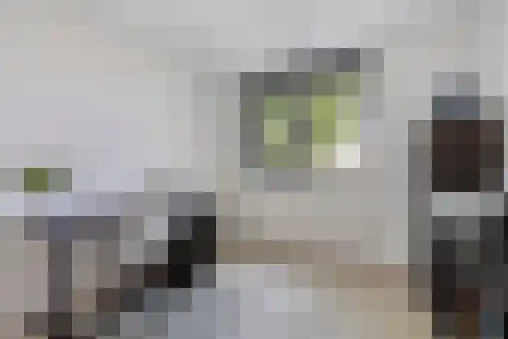 Moesson 5 Zeewolde thumbnail 20
