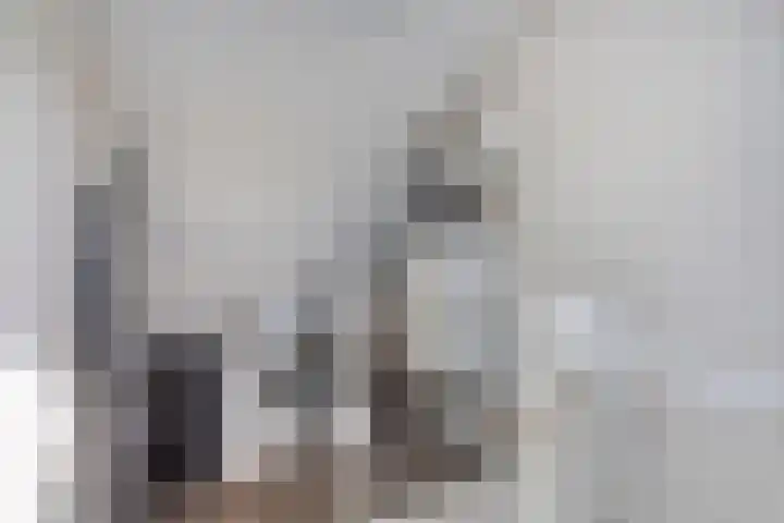 Moesson 5 Zeewolde thumbnail 23