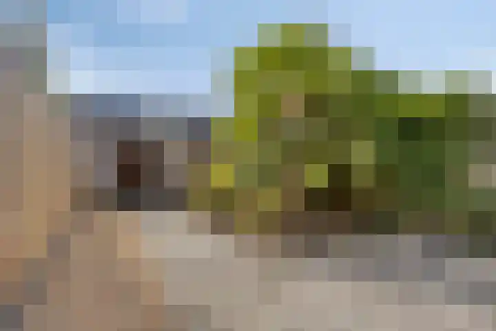 Moesson 5 Zeewolde thumbnail 26