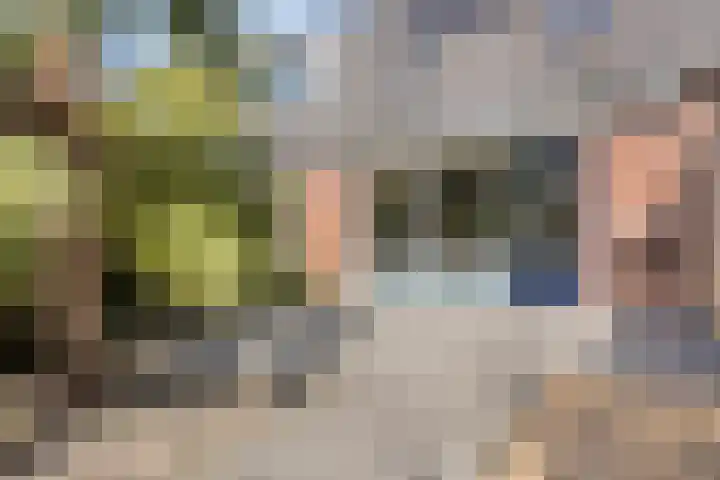 Moesson 5 Zeewolde thumbnail 27