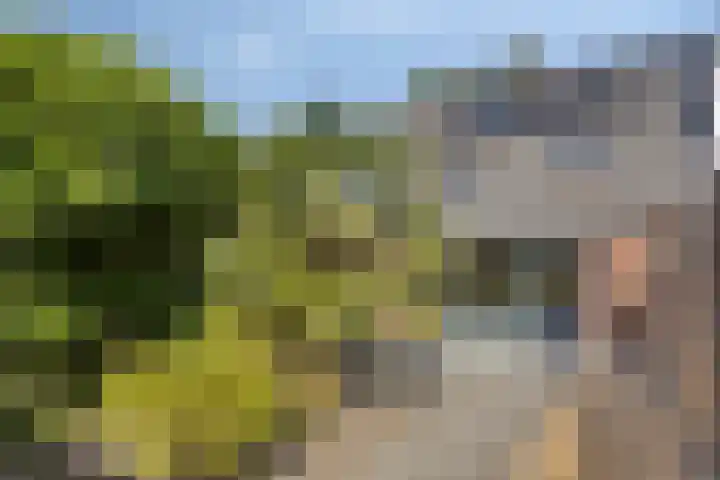 Moesson 5 Zeewolde thumbnail 28