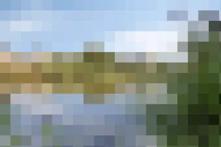 Moesson 5 Zeewolde thumbnail 30