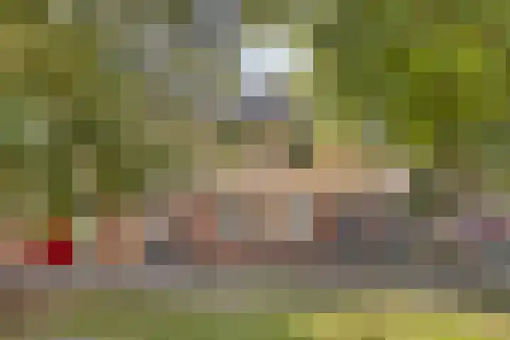 Moesson 5 Zeewolde thumbnail 31