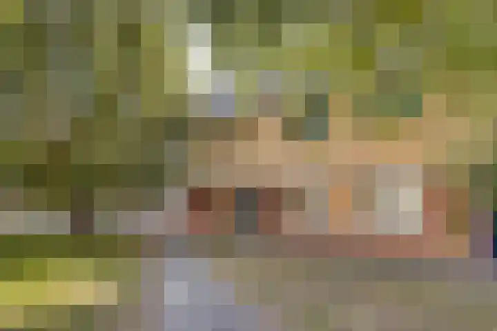 Moesson 5 Zeewolde thumbnail 7