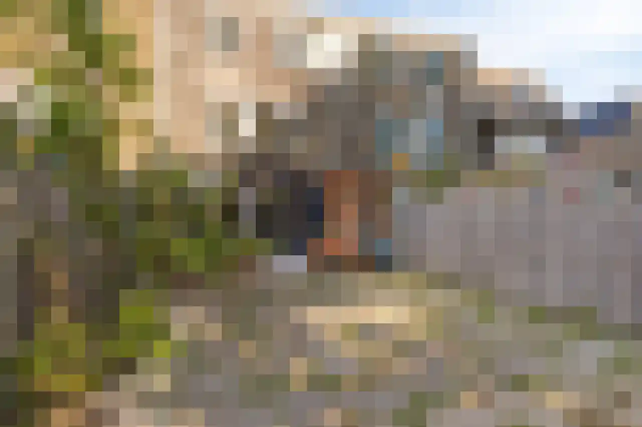 Moessorgskystraat 24 Almere thumbnail 34