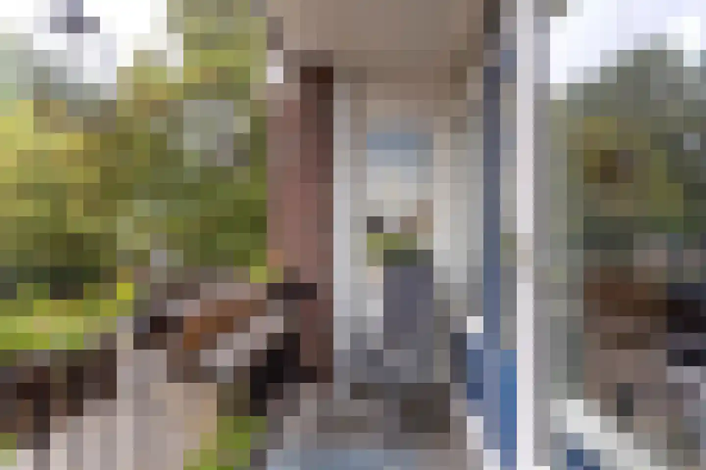 Moesstraat 106 Groningen thumbnail 27