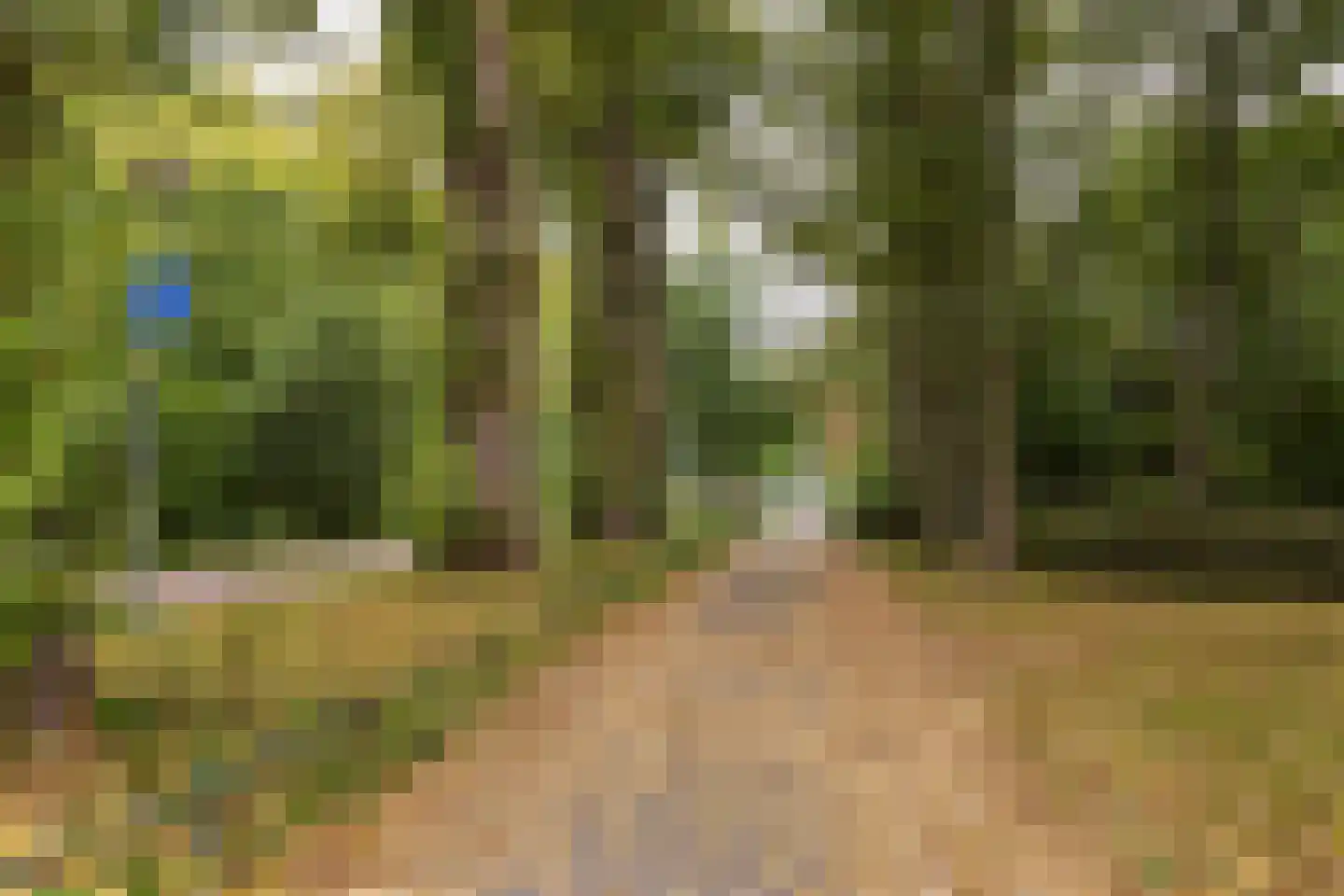 Moesstraat 106 Groningen thumbnail 32