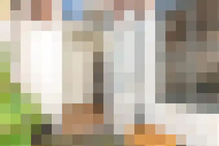 Moesstraat 11 Utrecht thumbnail 19