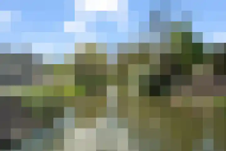 Moesstraat 11 Utrecht thumbnail 36