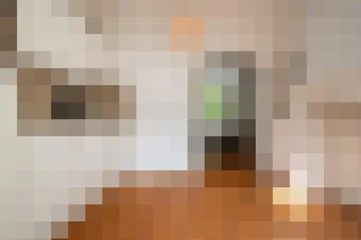 Moesstraat 115 Groningen thumbnail 19
