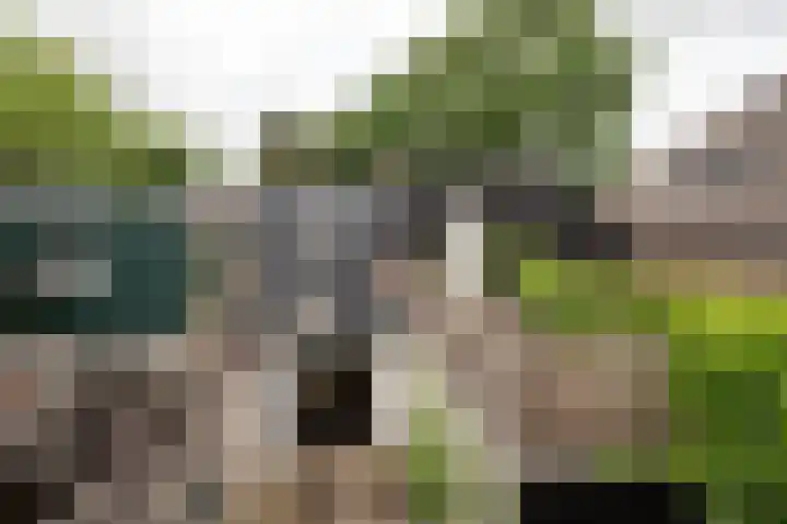 Moesstraat 115 Groningen thumbnail 28