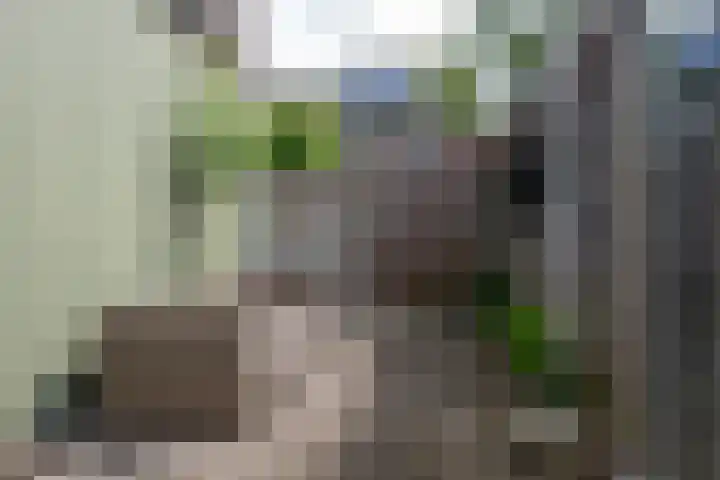 Moesstraat 115 Groningen thumbnail 29