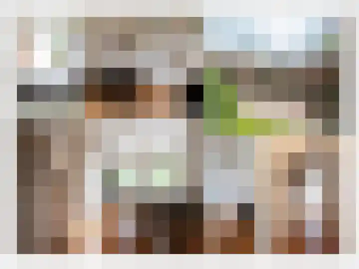Moesstraat 115 Groningen thumbnail 33