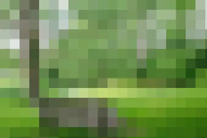 Moesstraat 115 Groningen thumbnail 6