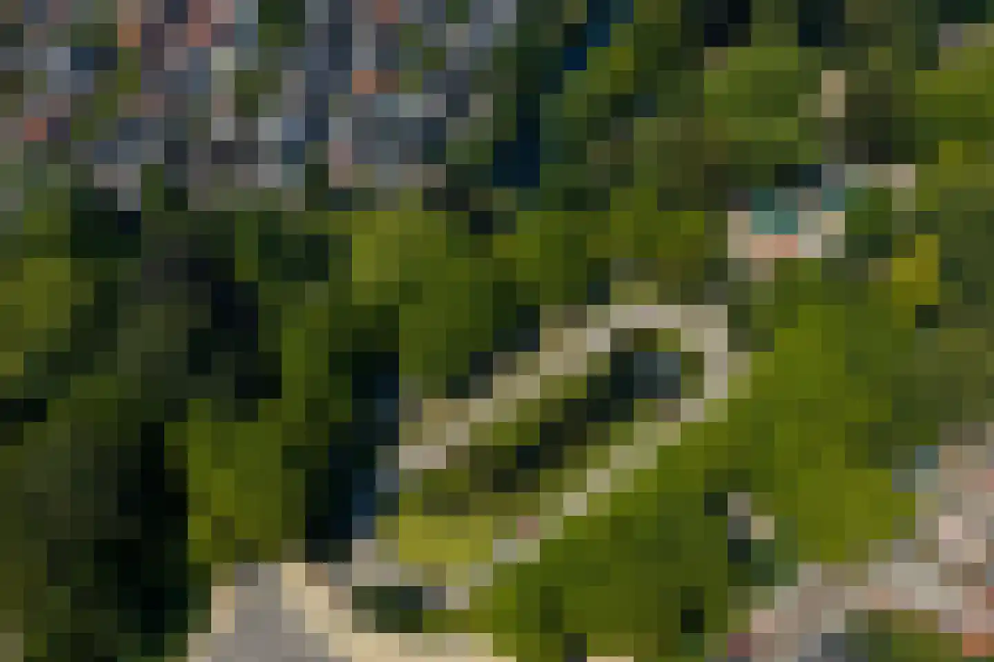 Moesstraat 12 a Groningen thumbnail 36