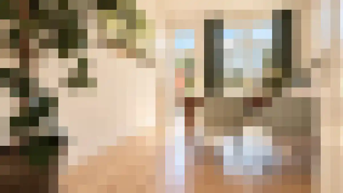 Moesstraat 12 Groningen thumbnail 4