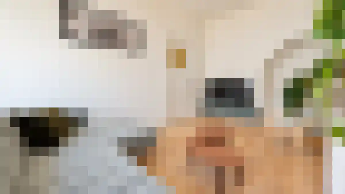 Moesstraat 12 Groningen thumbnail 6