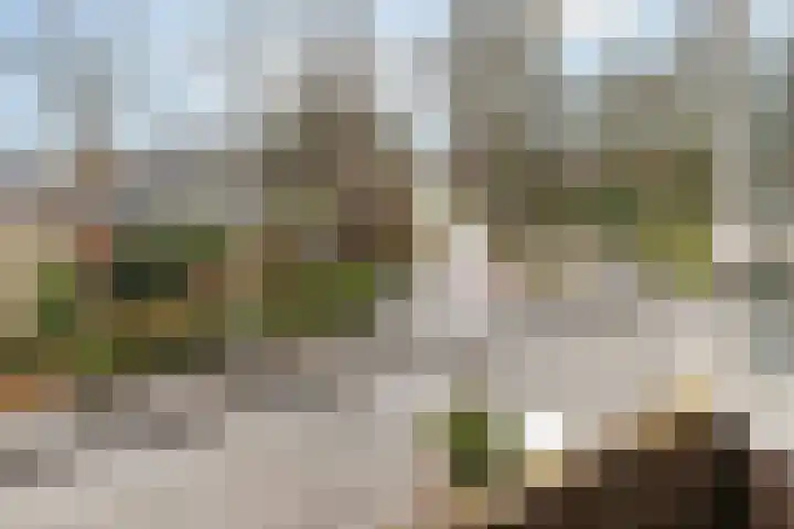 Moesstraat 133 Groningen thumbnail 31