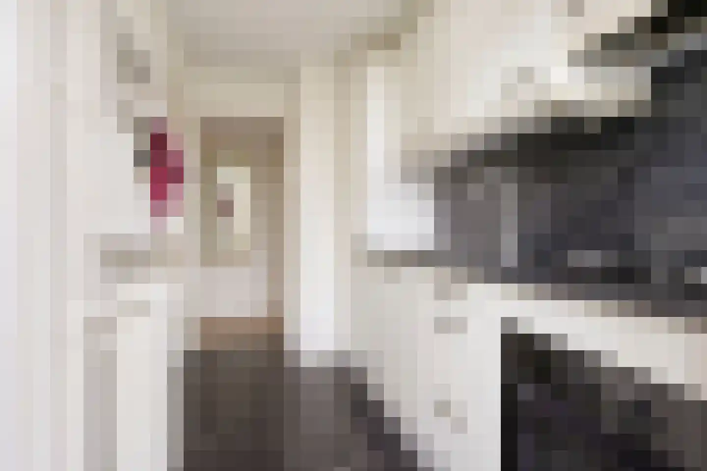 Moesstraat 142 Groningen thumbnail 19