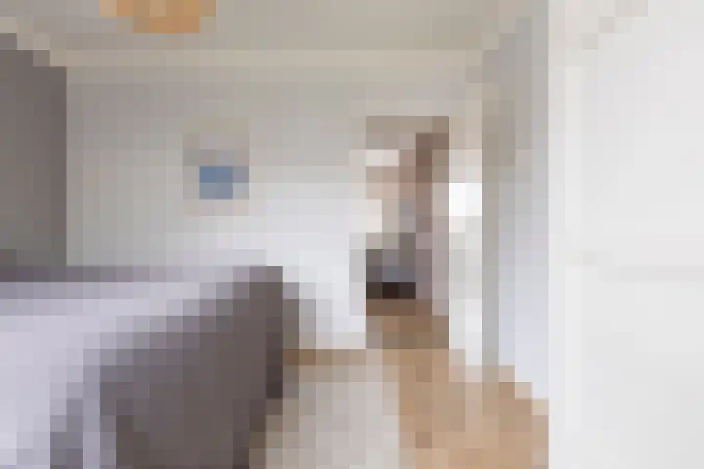 Moesstraat 142 Groningen thumbnail 23