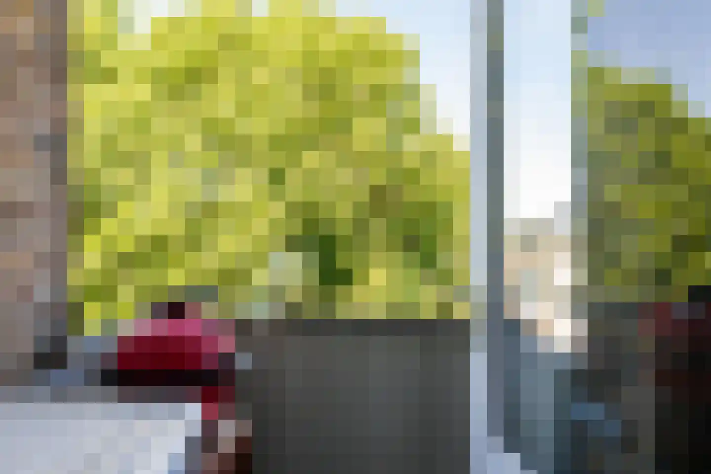 Moesstraat 146 Groningen thumbnail 15