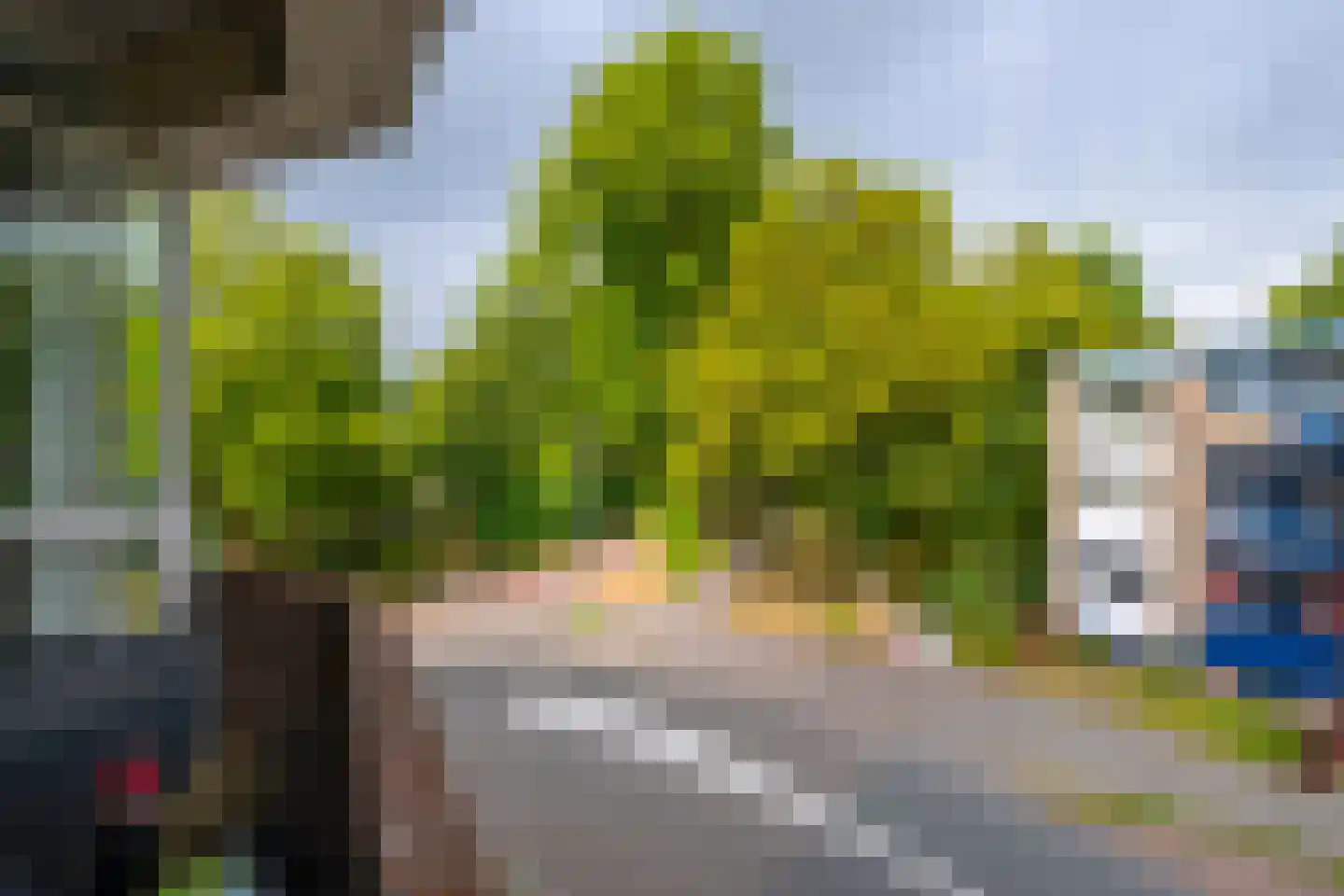 Moesstraat 163 Groningen thumbnail 41