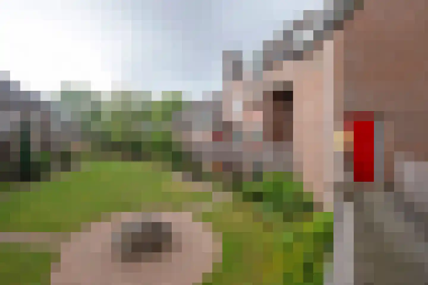 Moesstraat 163 Groningen thumbnail 6