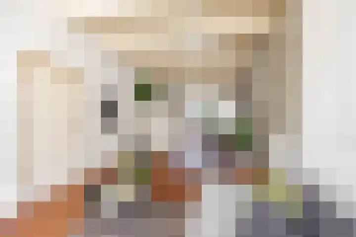 Moesstraat 25 Groningen thumbnail 11