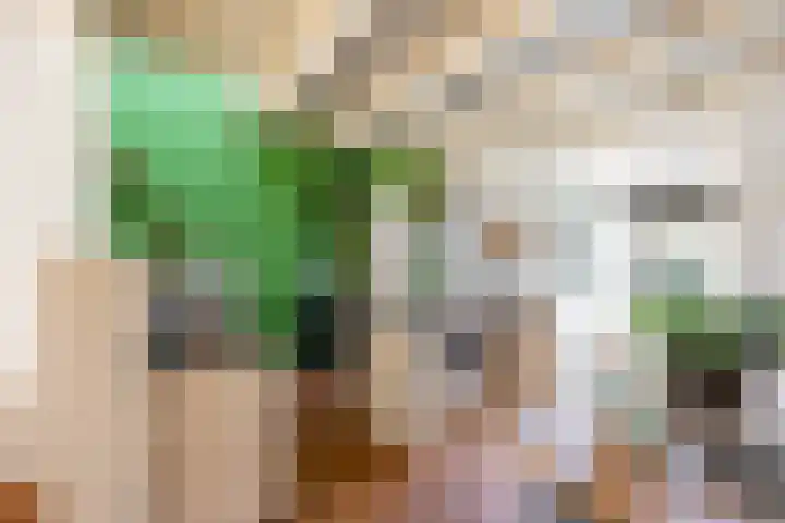 Moesstraat 25 Groningen thumbnail 13