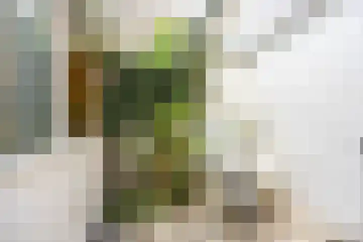 Moesstraat 25 Groningen thumbnail 19