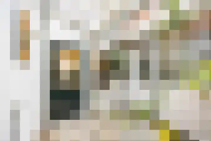 Moesstraat 25 Groningen thumbnail 20