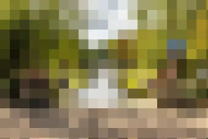Moesstraat 25 Groningen thumbnail 35