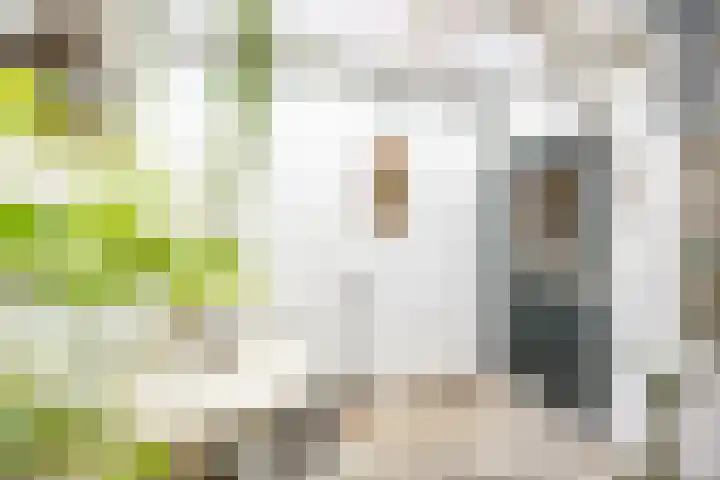 Moesstraat 25 Groningen thumbnail 4