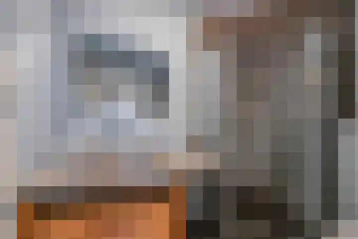 Moesstraat 4 Groningen thumbnail 13