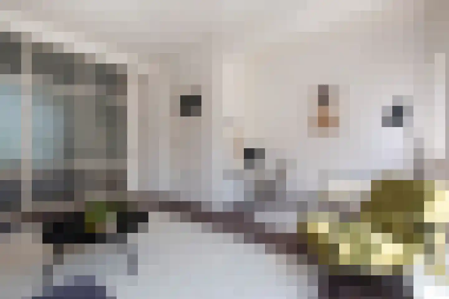 Moesstraat 63 a Groningen thumbnail 14